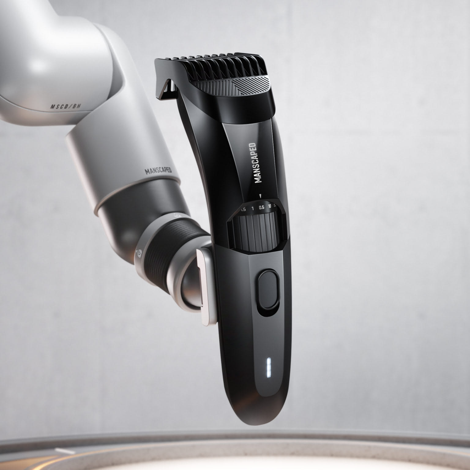 The Beard, Balls & Strays Bundle | MANSCAPED EU