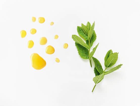 Peppermint Leaf Oil