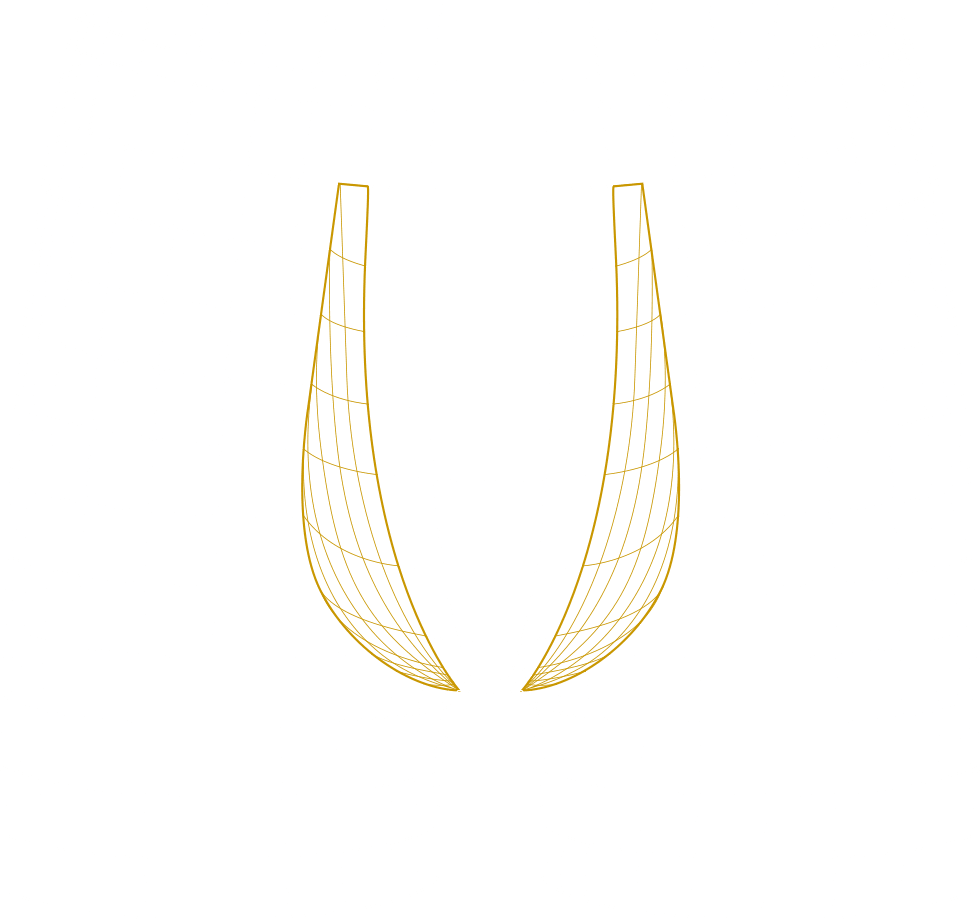 Boxers 3D grid